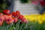 DSC_1209.jpg a