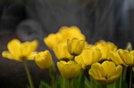 DSC_1219.jpg a