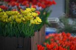 DSC_1220.jpg a