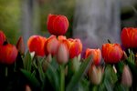 DSC_1223.jpg a