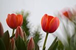 DSC_1225.jpg a
