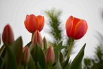 DSC_1227.jpg a