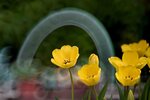 DSC_1236.jpg a