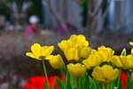 DSC_2192.jpg a