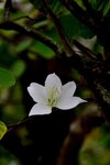 DSC_2233.jpg a