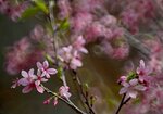 DSC_1248.jpg a