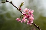 DSC_1252.jpg a
