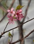 DSC_1255.jpg a