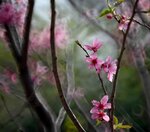 DSC_1260.jpg a