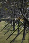 DSC_1261.jpg a
