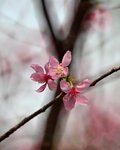 DSC_1265.jpg a