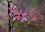 DSC_1267.jpg a
