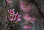 DSC_1269.jpg a