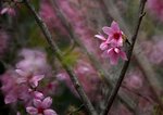 DSC_1270.jpg a