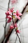 DSC_1276.jpg a