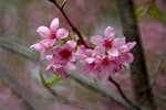 DSC_1280.jpg a