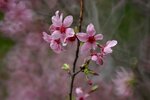 DSC_1282.jpg a