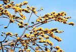 DSC01166.jpg a