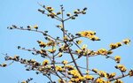 DSC01167.jpg a