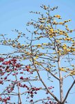 DSC01171.jpg a
