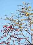 DSC01172.jpg a