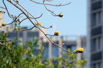 DSC01173.jpg a