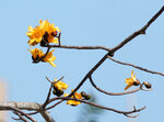 DSC01174.jpg a