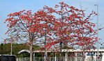 DSC_1587.jpg a