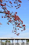 DSC_1600.jpg a