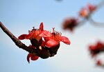 DSC_1602.jpg a