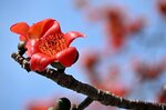 DSC_1606.jpg a