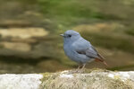 DSC08991 拷貝
