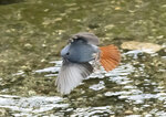 DSC09000 拷貝