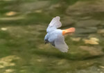 DSC09142 拷貝