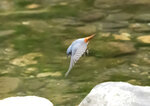 DSC09143 拷貝