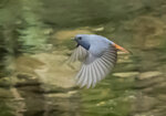 DSC09165 拷貝