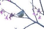 DSC00100 拷貝