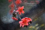 DSC_1789.jpg a