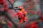 DSC_1791.jpg a