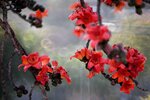 DSC_1792.jpg a