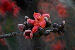 DSC_1793.jpg a