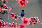 DSC_1795.jpg a