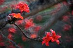 DSC_1797.jpg a