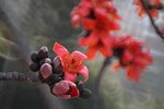 DSC_1798.jpg a