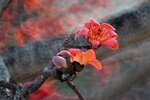 DSC_1800.jpg a