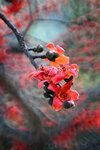 DSC_1807.jpg a