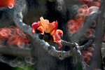 DSC_1818.jpg a