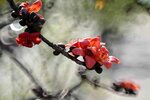 DSC_1820.jpg a