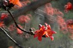 DSC_1823.jpg a