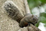 DSC00793 拷貝.jpg a
